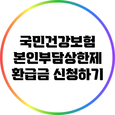 국민건강보험 본인부담상한제 환급금 신청하기