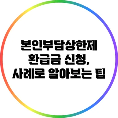 본인부담상한제 환급금 신청, 사례로 알아보는 팁