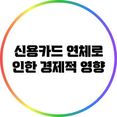 신용카드 연체로 인한 경제적 영향