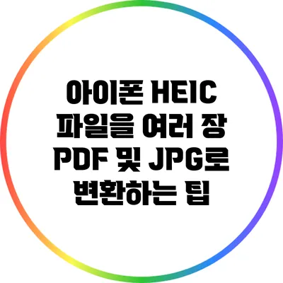 아이폰 HEIC 파일을 여러 장 PDF 및 JPG로 변환하는 팁