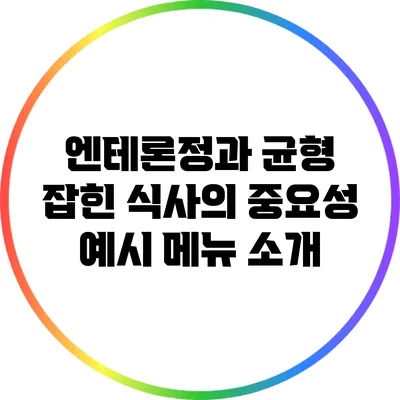 엔테론정과 균형 잡힌 식사의 중요성: 예시 메뉴 소개