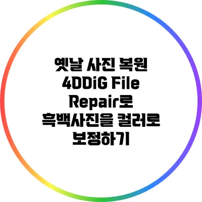 옛날 사진 복원: 4DDiG File Repair로 흑백사진을 컬러로 보정하기