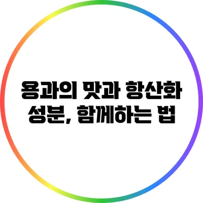 용과의 맛과 항산화 성분, 함께하는 법