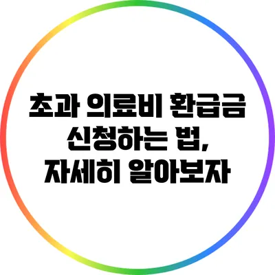 초과 의료비 환급금 신청하는 법, 자세히 알아보자