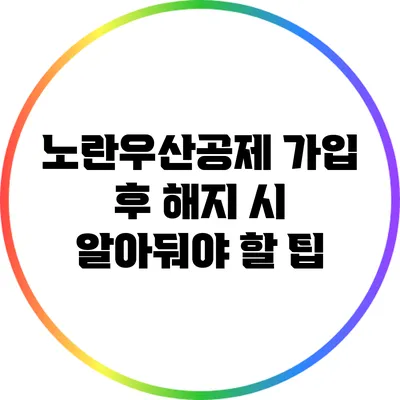 노란우산공제 가입 후 해지 시 알아둬야 할 팁