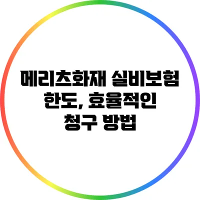 메리츠화재 실비보험 한도, 효율적인 청구 방법