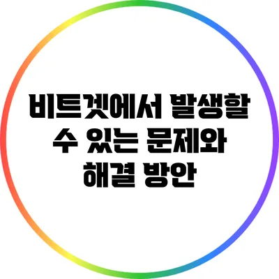 비트겟에서 발생할 수 있는 문제와 해결 방안