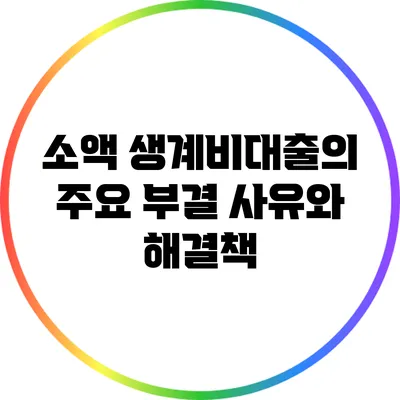 소액 생계비대출의 주요 부결 사유와 해결책