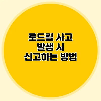 로드킬 사고 발생 시 신고하는 방법
