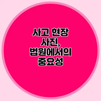 사고 현장 사진, 법원에서의 중요성