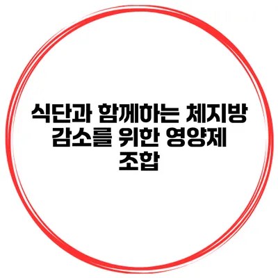 식단과 함께하는 체지방 감소를 위한 영양제 조합