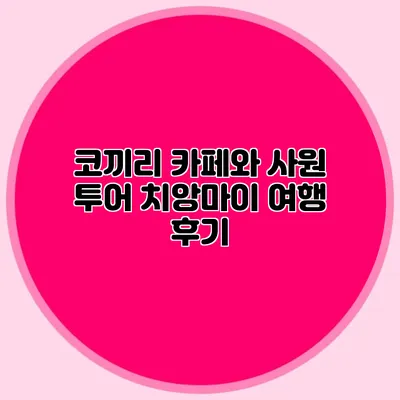 코끼리 카페와 사원 투어 치앙마이 여행 후기