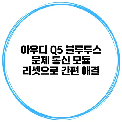아우디 Q5 블루투스 문제 통신 모듈 리셋으로 간편 해결