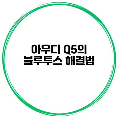 아우디 Q5의 블루투스 해결법